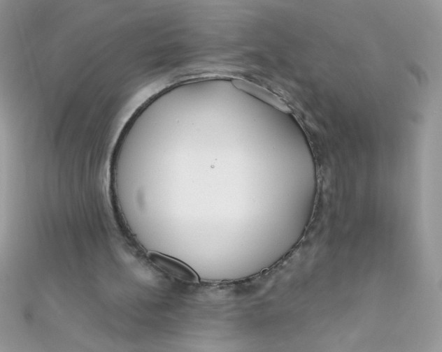 X0000112390148200909032021