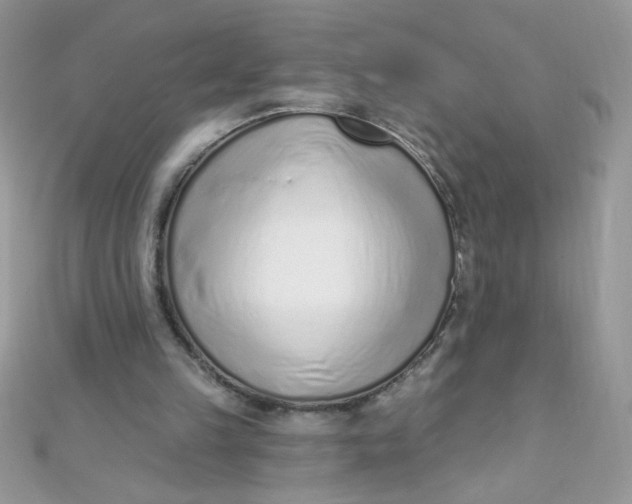 X0000112390149200909032021