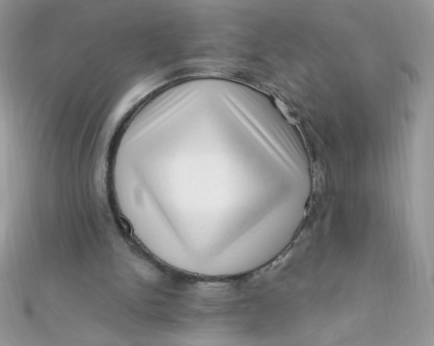 X0000112390150200909032021