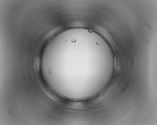 X0000112390157200909032021