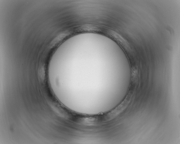 X0000112390158200909032021