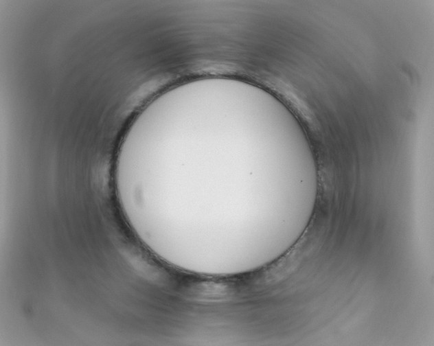 X0000112390159200909032021
