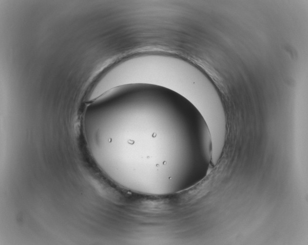 X0000112390160200909032021