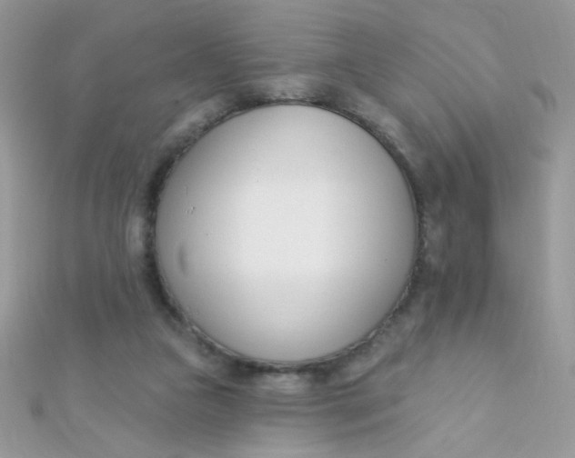 X0000112390161200909032021