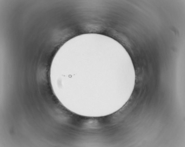 X0000112390162200909032021