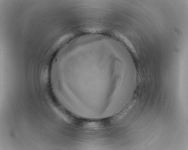 X0000112390163200909032021