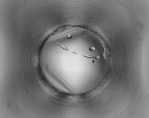 X0000112390164200909032021