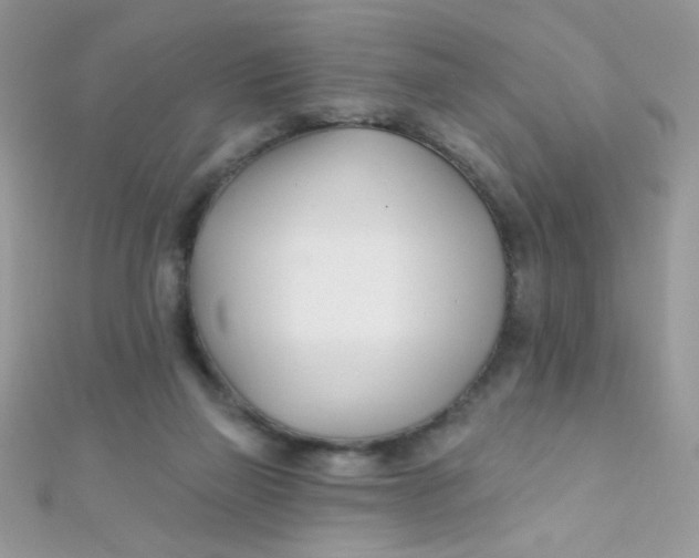 X0000112390165200909032021