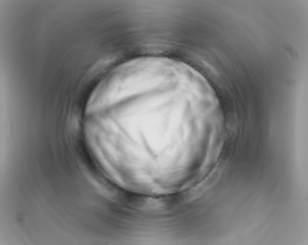 X0000112390166200909032021
