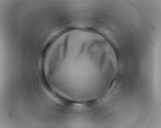X0000112390167200909032021