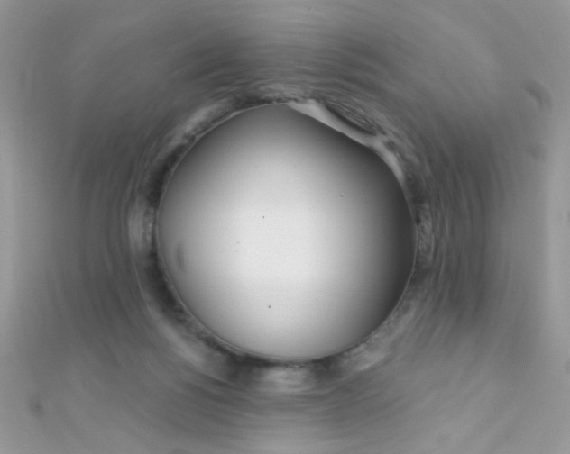 X0000112390168200909032021