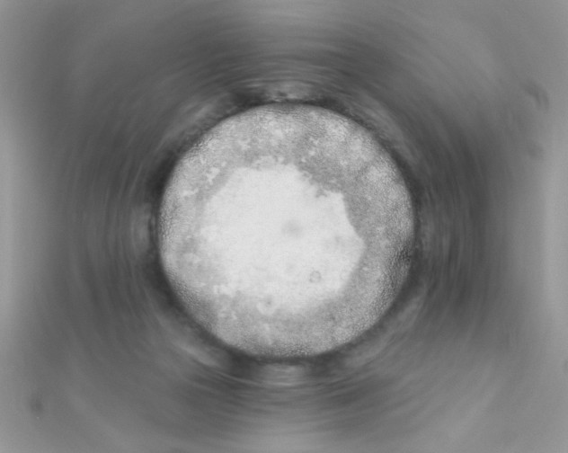 X0000112390169200909032021
