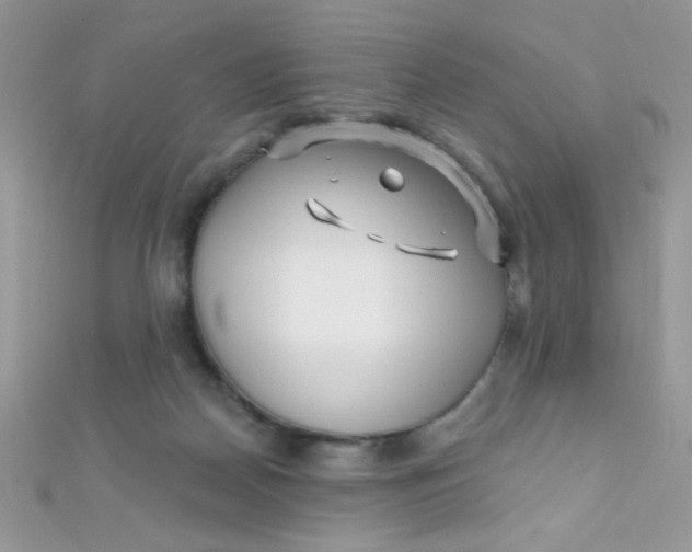 X0000112390170200909032021