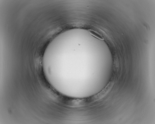 X0000112390172200909032021