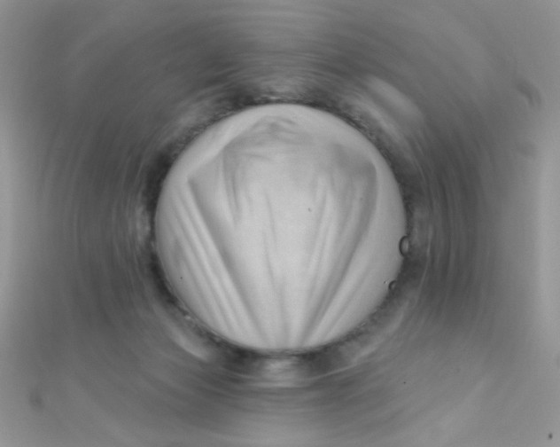 X0000112390173200909032021