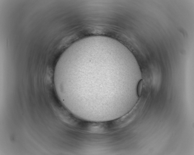 X0000112390175200909032021