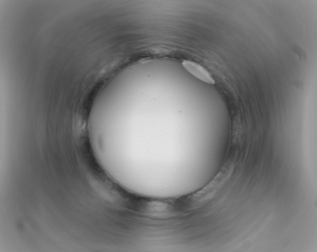X0000112390176200909032021