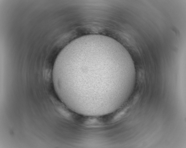 X0000112390177200909032021