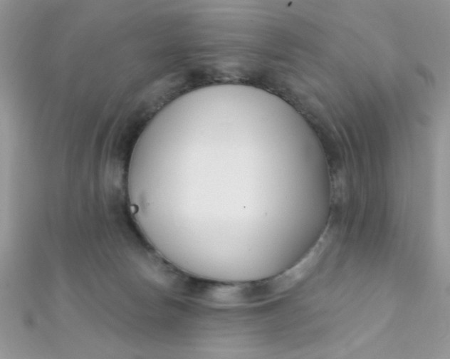 X0000112390178200909032021