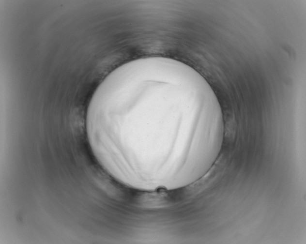 X0000112390179200909032021