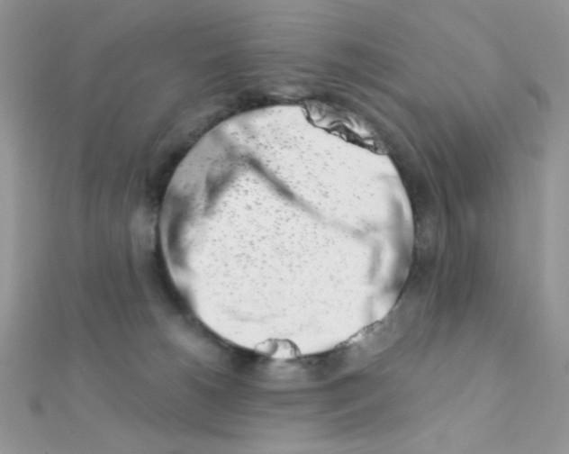X0000112390180200909032021