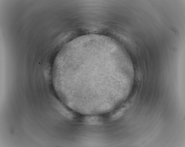 X0000112390181200909032021