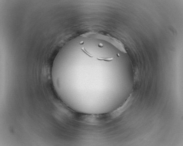 X0000112390182200909032021