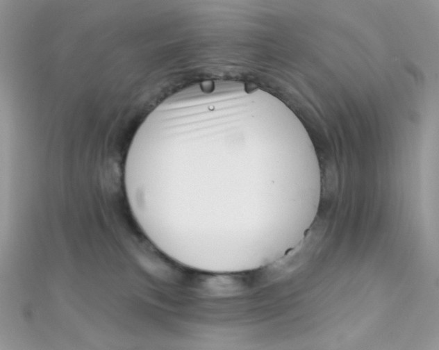X0000112390183200909032021