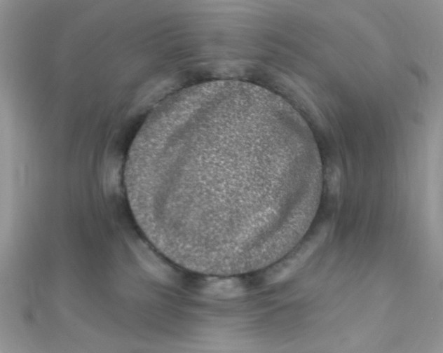 X0000112390185200909032021