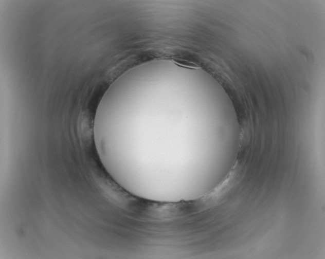 X0000112390186200909032021