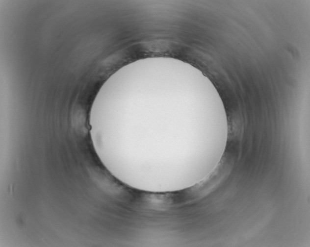 X0000112390187200909032021