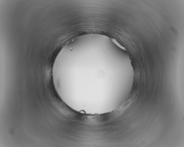 X0000112390188200909032021