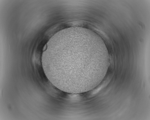 X0000112390189200909032021