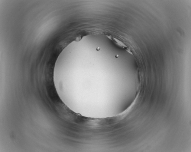 X0000112390190200909032021