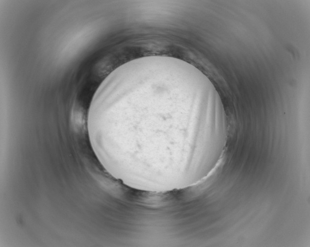 X0000112390191200909032021