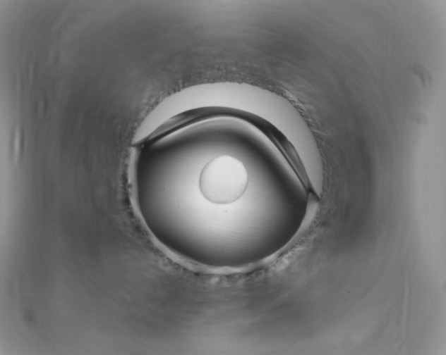 X0000112390192200909032021
