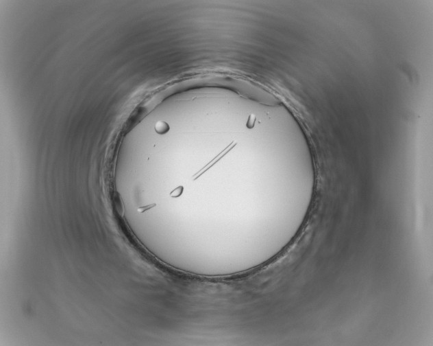 X0000112390193200909032021