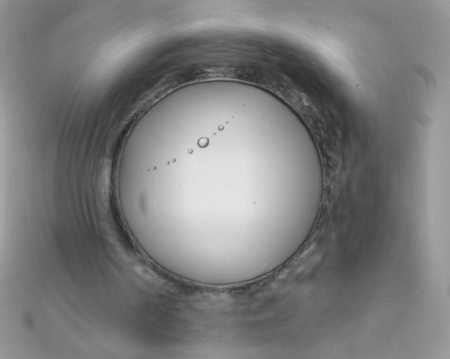 X0000112390194200909032021
