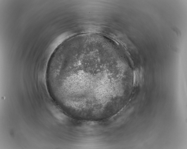 X0000112390195200909032021