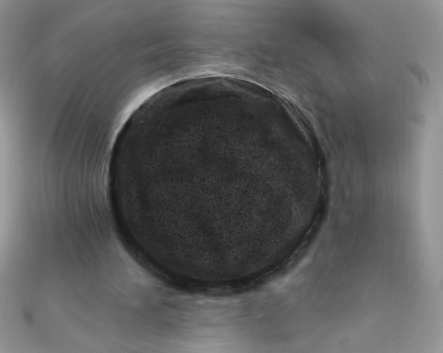 X0000112390196200909032021
