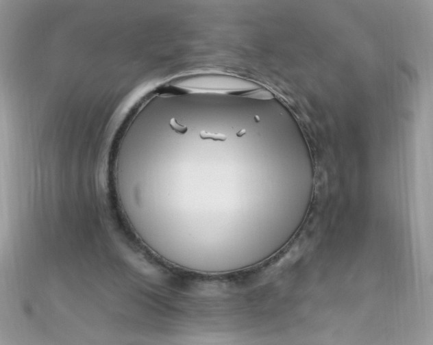 X0000112390200200909032021