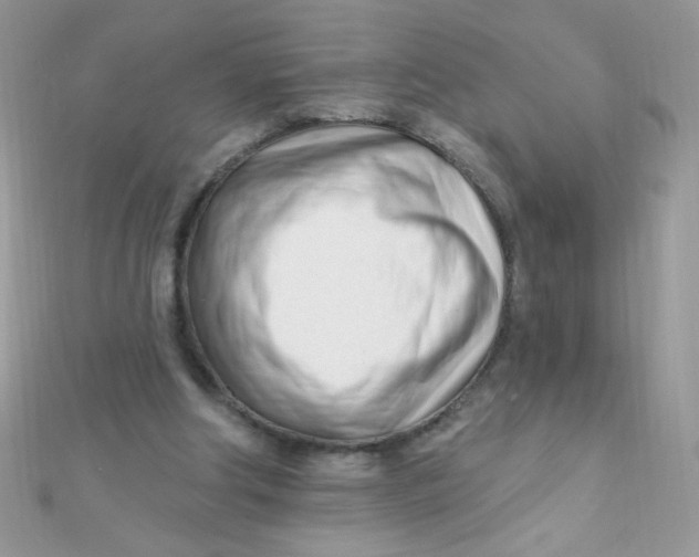 X0000112390202200909032021