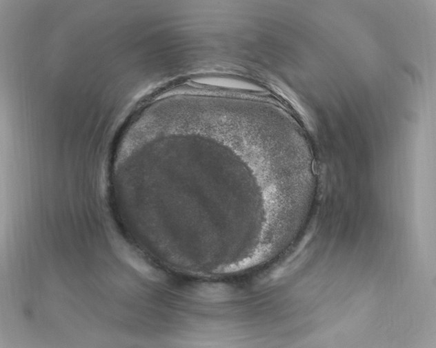 X0000112390203200909032020