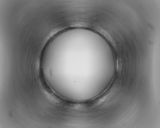 X0000112390204200909032020
