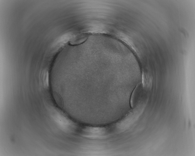 X0000112390205200909032020