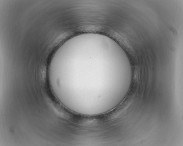 X0000112390206200909032020