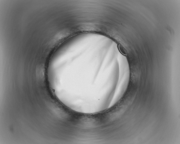 X0000112390207200909032020