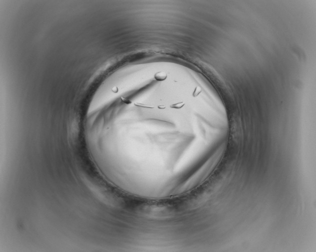 X0000112390208200909032020