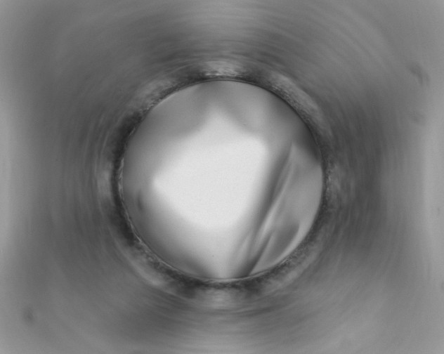 X0000112390209200909032020