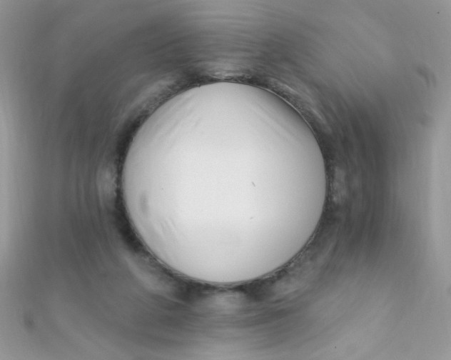 X0000112390210200909032020